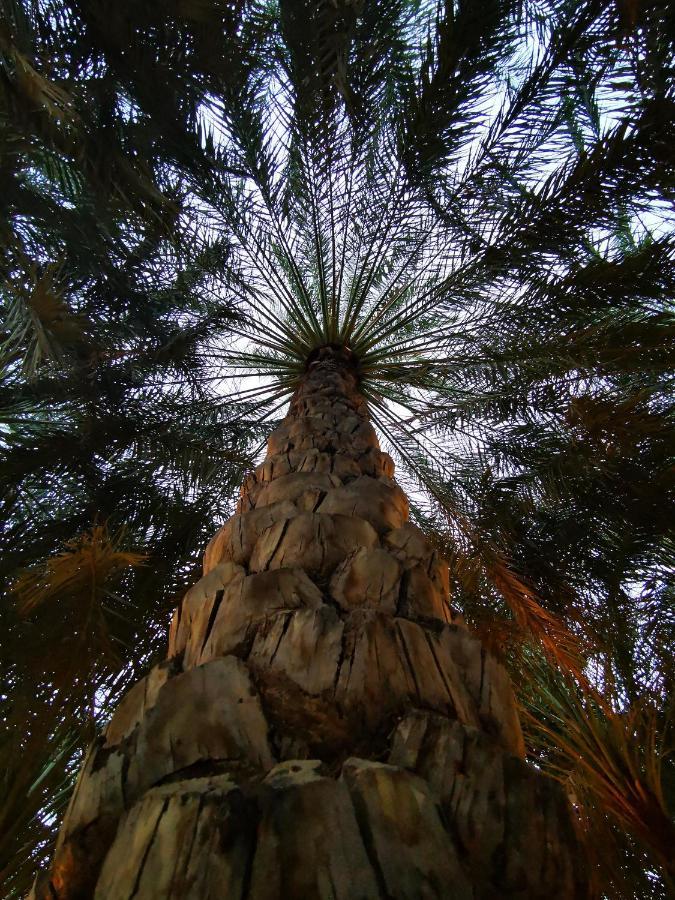 Alberi Lodge Hatta Kültér fotó