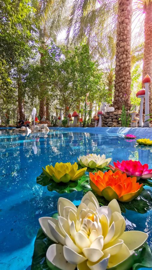 Alberi Lodge Hatta Kültér fotó